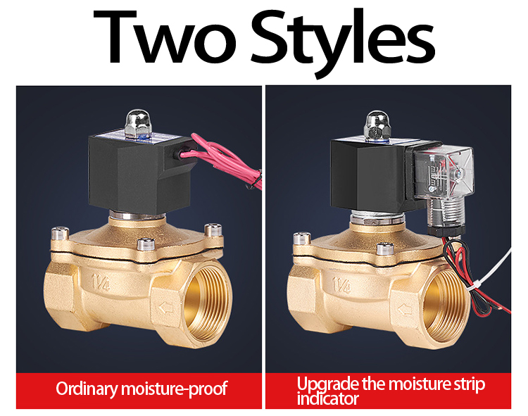 Dc24v Dc12v Ac110v Ac220v Npt Thread Solenoid Valve for Water Pure Copper Coil Normally Open 2 Way Brass Solenoid