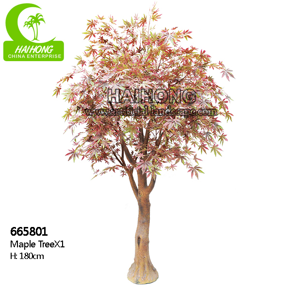 Maple Tree
