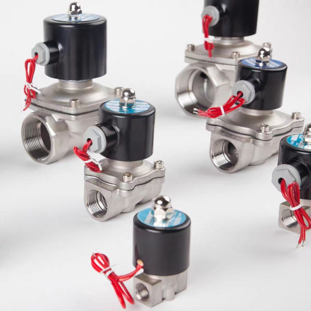 Manufacturer Hot Sales Direct Acting AC24V Water Solenoid Valve