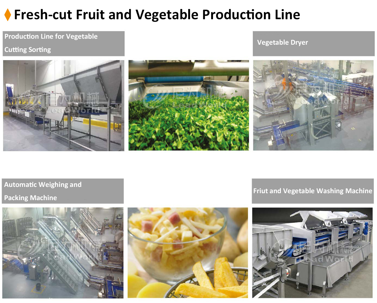 Asparagus Cutting Washing Processing Line / Broccoli Production Machine / Asparagus Processing Machinery Line