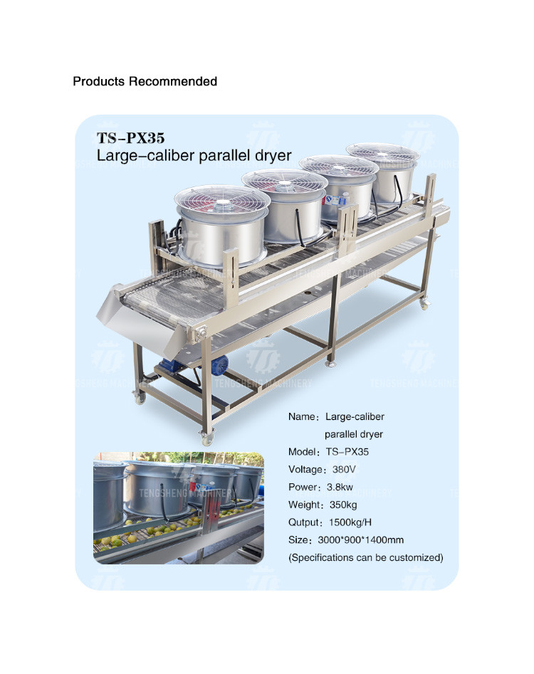 Stainless Steel Vibrating Screen Fruit And Vegetable Drain Machine