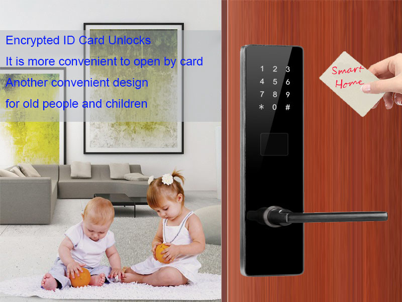Black Color Bluetooth TTlock Password Electronic Smart Door Locks for Apartment Home
