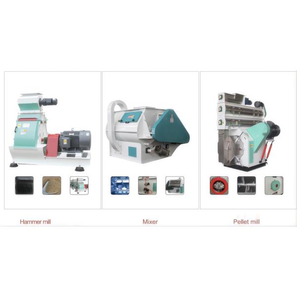 500kg/h 1t/h 2t/h Automatic Poultry Feed Pellet Production Line / Pellet Plant Small Manufacturing Machines Linea Produccion Pellets Alimentos Cerdos