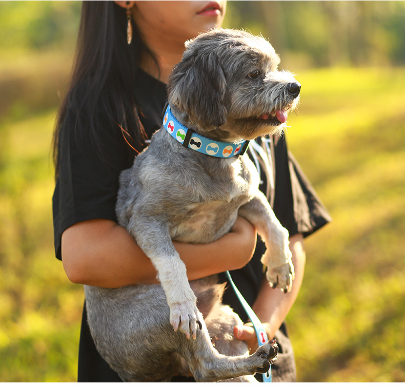 Eco Friendly Polyester Dog Leash Collar Set Sublimation Harness Collar And Lead Set