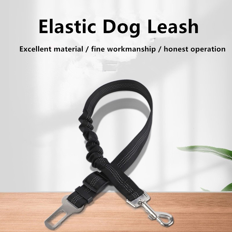 seat belt dog collars & harnesse