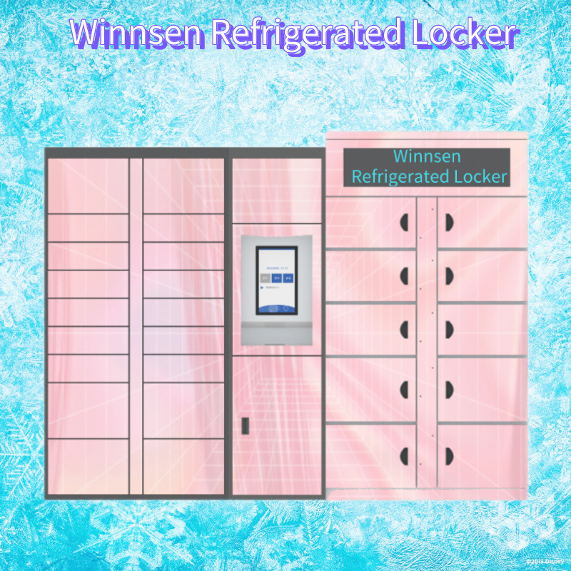 Goods Smart Refrigerated Locker Smart Electronic Vegetable Frozen