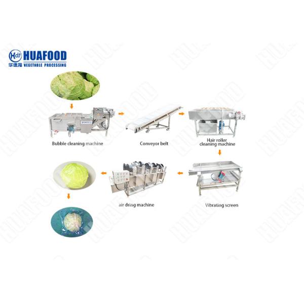 Vegetable Washing Cleaning Complete Fruit Processor Machine