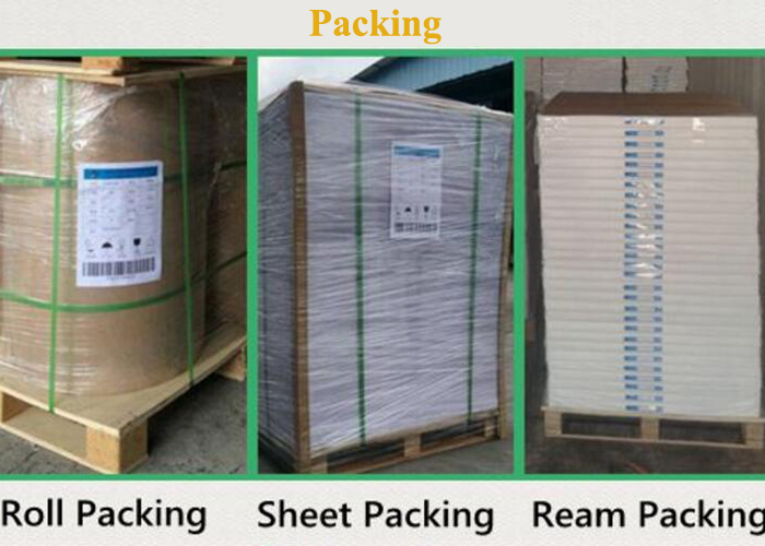 Nature White Waterproof Tear-risistant Synthetic Stone Paper In roll
