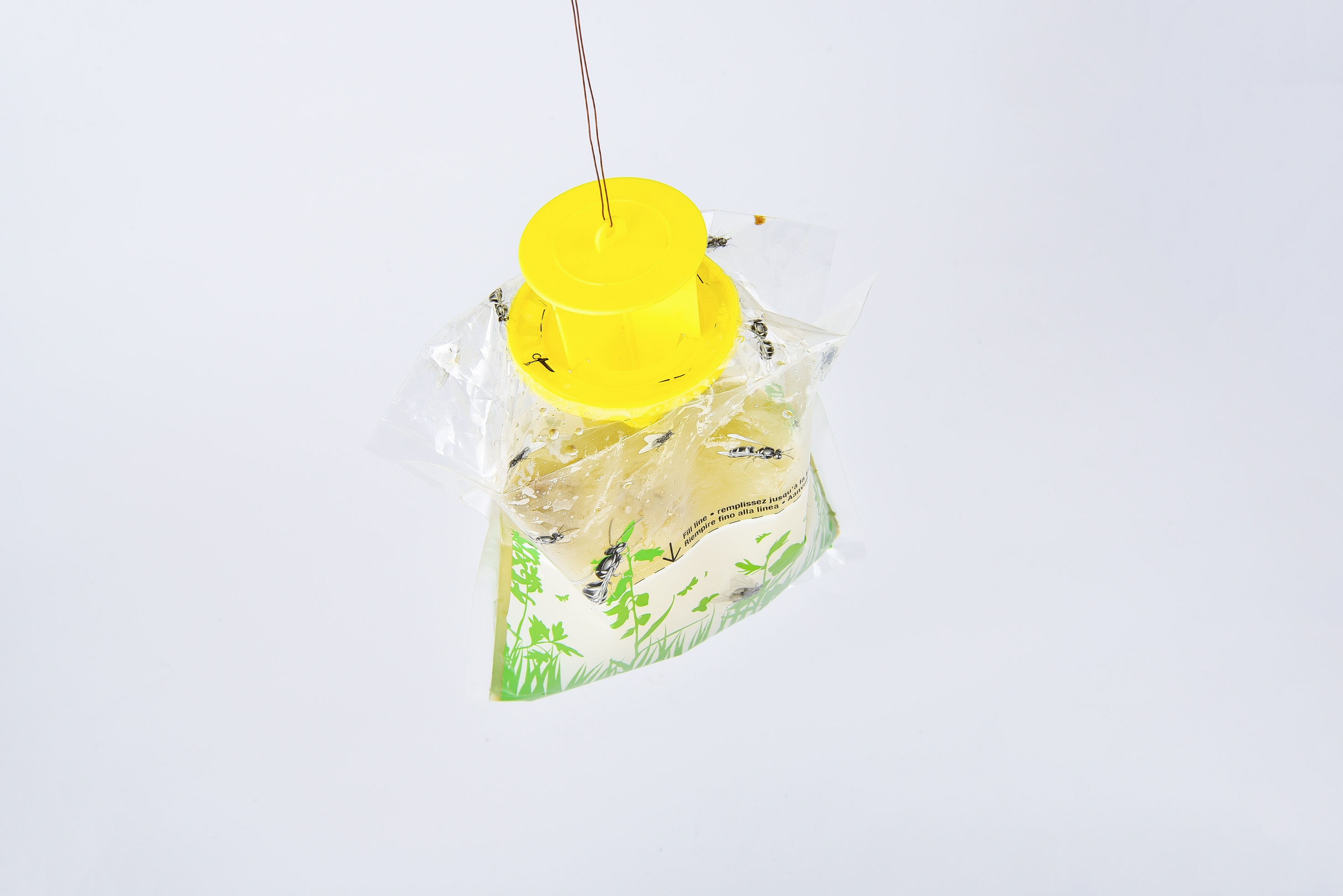 Square Eco Material Mini Fruit Fly Trap Bottle Target Lure Plastic Feature for Indoor