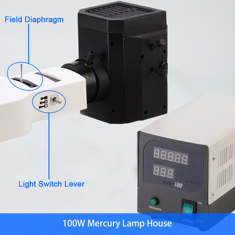 Fluorescence Microscope