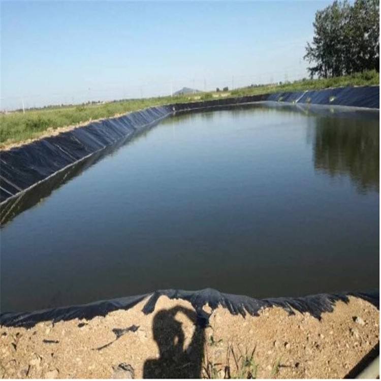 0.3mm 0.5mm 0.75mm Shrimp Farm Liner Geomembranes for Fish Breeding and Landfill Liner