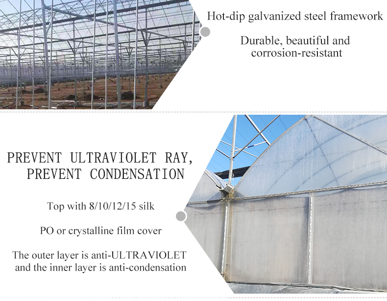 Double Layer PO Greenhouse Tunnel for Precise Temperature Control