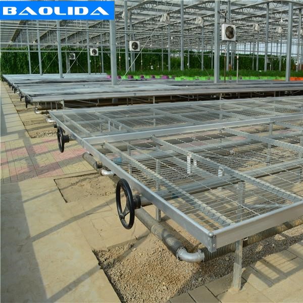Vegetables Ebb And Flow Tray Seeding Bed Greenhouse Rolling Benches