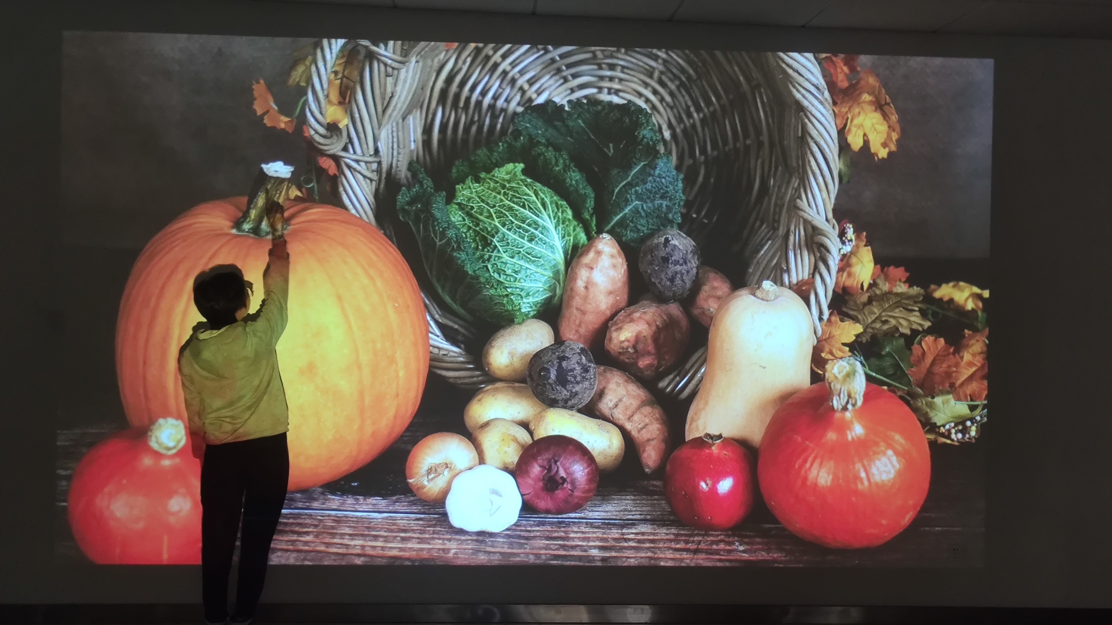 Native 1080P 4500 Lumens Projector Linux OS Operating System