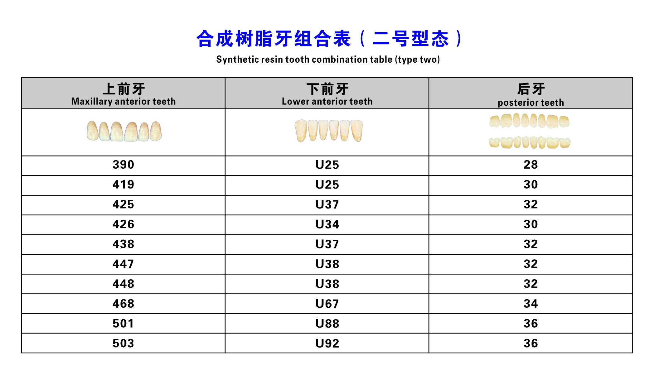Plastic Polymer Dental Acrylic Resin Teeth A1 A3 2 Layers Dental Composite Resin