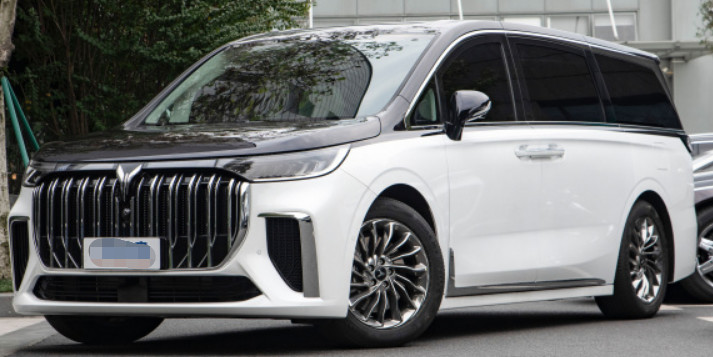 VOYAH Dreamer 2022 Private customized low-carbon version 5 Door 7seats MPV