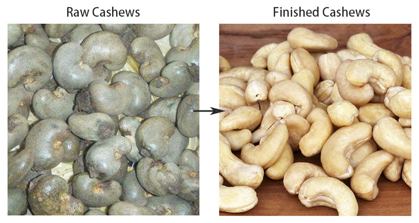 Food Baking Nuts Processing Machine 2000kg 1000kg Hour Cashew Nut Production Line