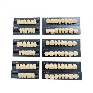 China High Stain Resistance Artificial Acrylic Teeth Made Of Acrylic Resin Composite on sale