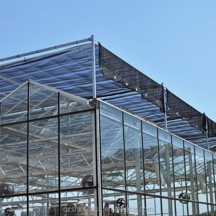 Large Agricultural Greenhouse with Galvanized Steel Frame and Optional Cooling System