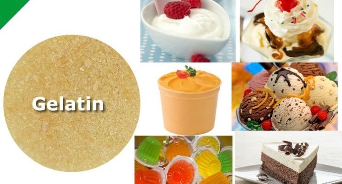 180 Bloom -240 Bloom Unflavoured Beef Gelatin Powder For Cheese