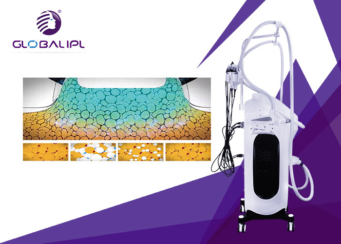 RF Fat Dissolving Cryolipolysis Machine 8.4 Inch Touch Screen Display CE Assured