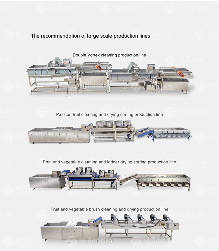 SS Fruit And Vegetable Hair Roller Bubble Cleaning Machine 800KG/H