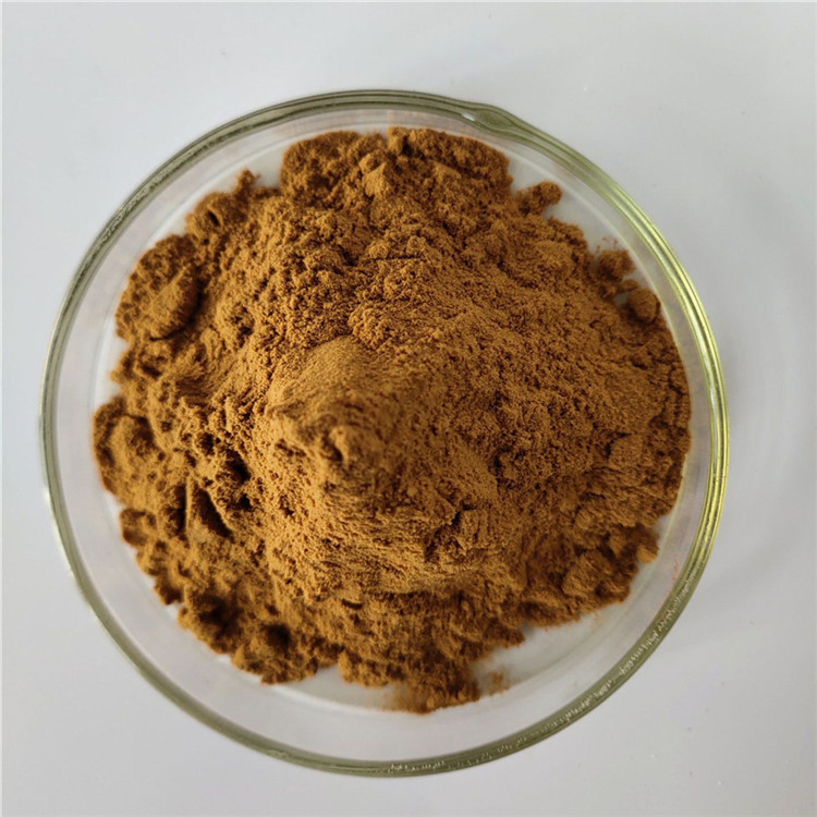 Herbal Medicine Figwort Root Extract For Detoxification