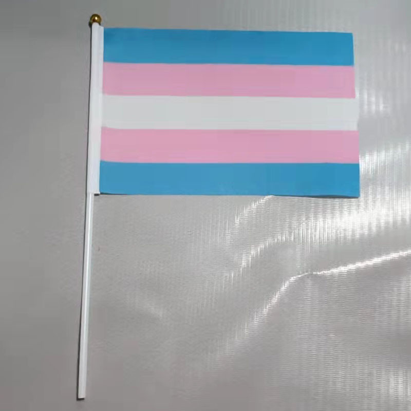 Printed Double Sided Pride Flag Hand Held 100% Polyester Material