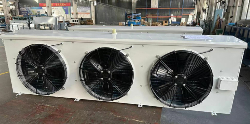 High-Efficiency Ceiling-Mounted Cold Room Air Coolers to Meet the Storage Requirements of Building Material Stores