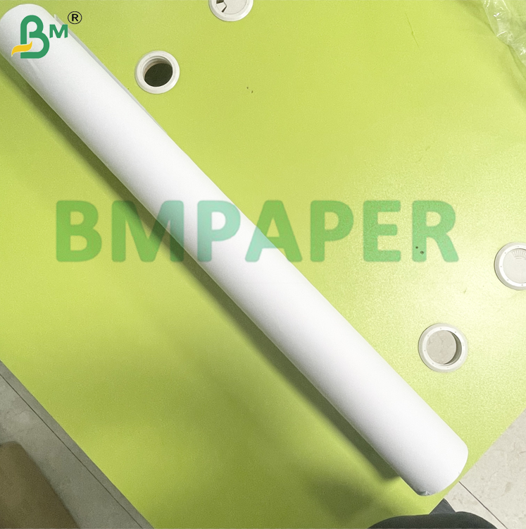 CAD plotter paper