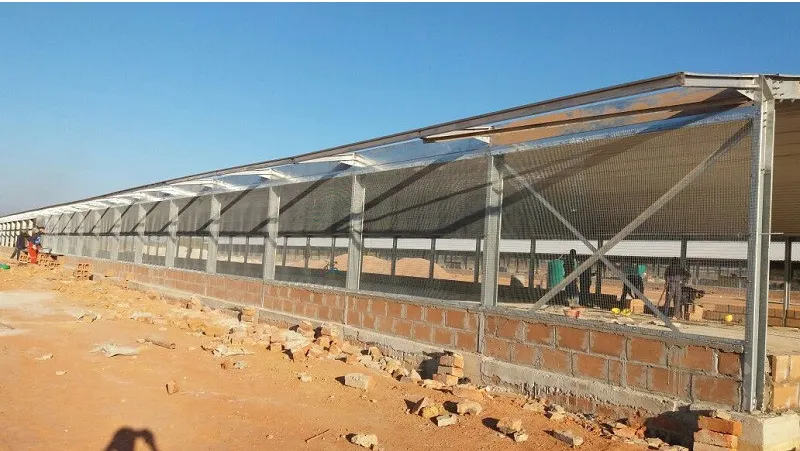 Modern Design Steel Structure Broiler House Chicken Warehouse For Farmhouse Application