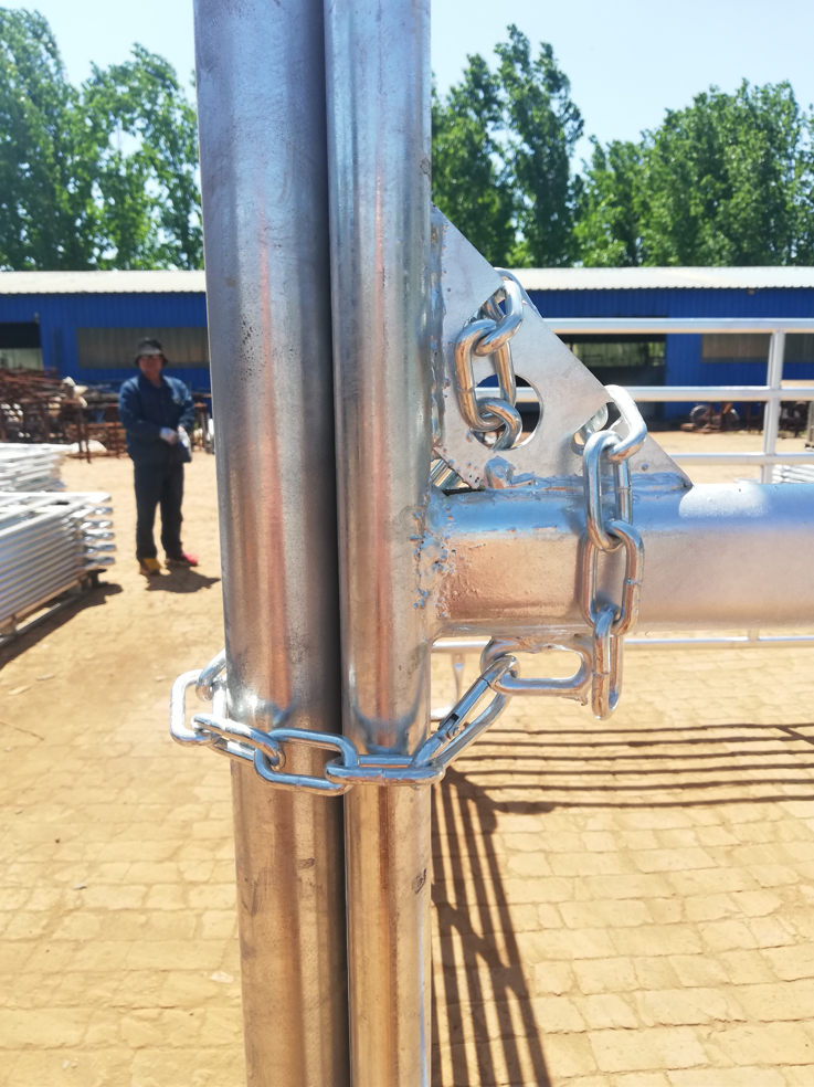Welded Netting Manufacture Supplier 2x2 Galvanized Cattle Welded Wire Mesh Panel