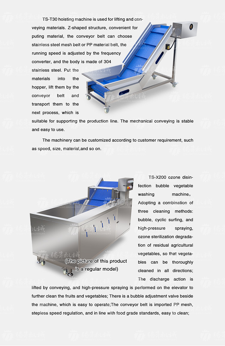 SS Fruit And Vegetable Hair Roller Bubble Cleaning Machine 800KG/H