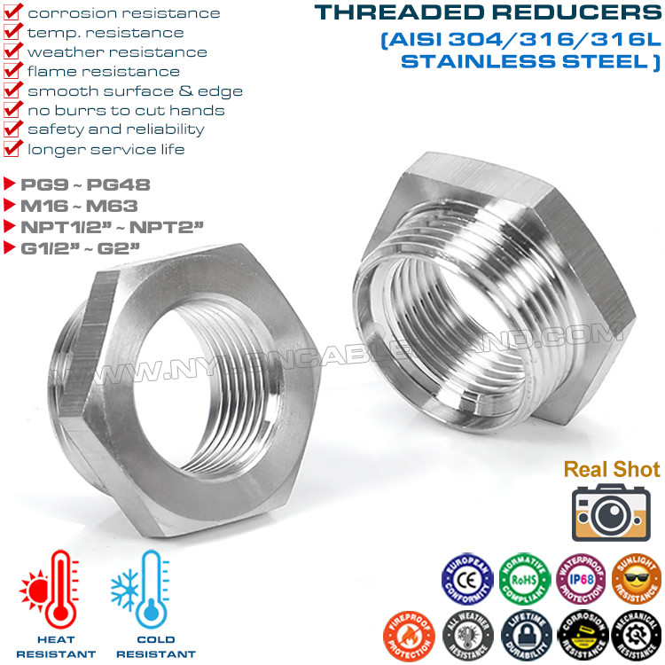 NPT, G, PG, Metric Threaded 304/316/316L Stainless Steel (Brass) Reducers, Convertors, Adaptors, Reducing Nipples or Fittings