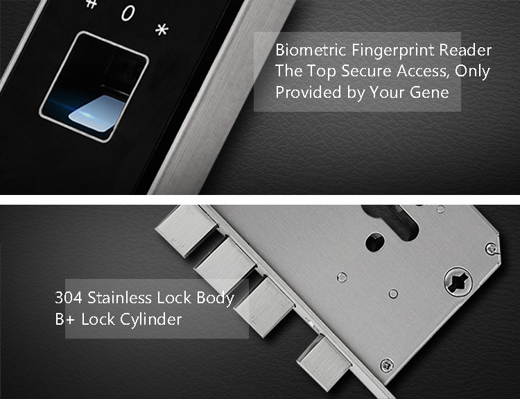 Combination Keypad Hotel Door Locks OLED Display With Password Card