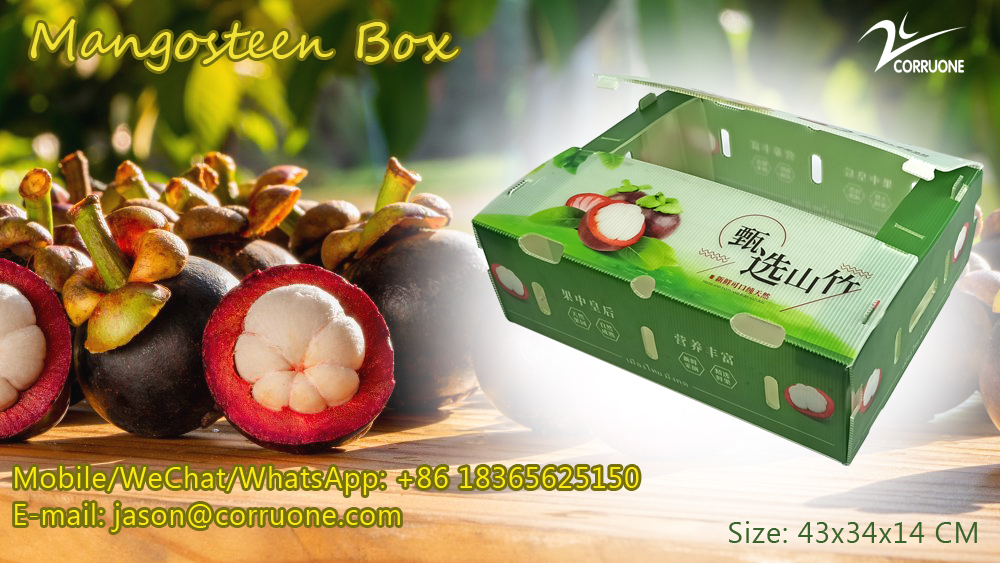 Corn Corflute Box Vegetable Corrugated Boxes Recyclable Custom Size