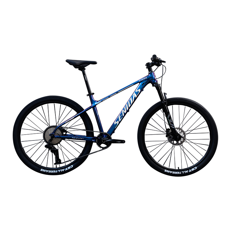 27.5 29 Bicycle Marlin 10 Speed Customized Adult Mountain Bike with and Ordinary Pedal