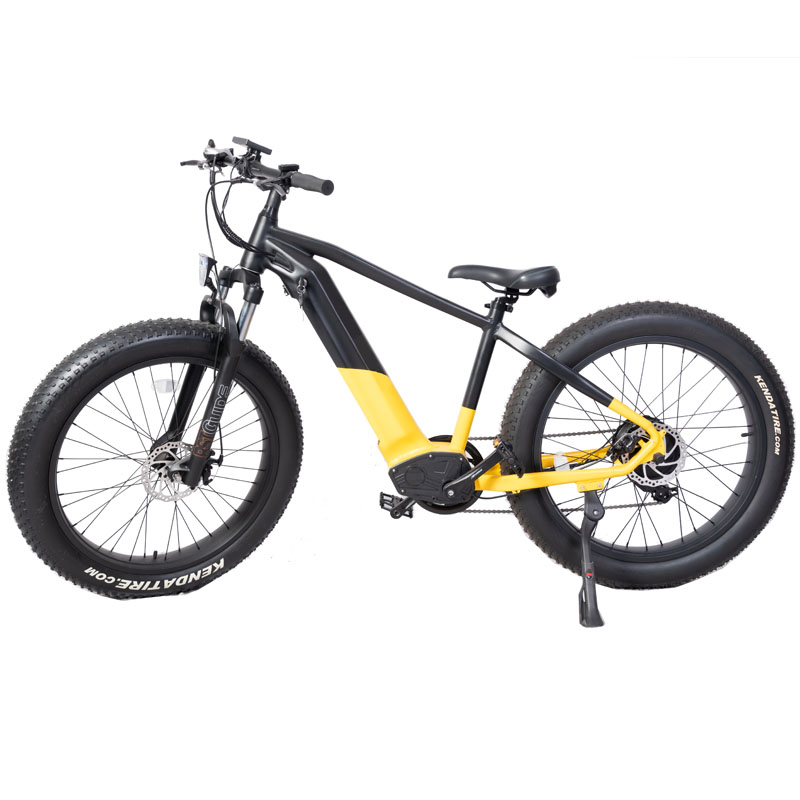 Electric Mountain Bike High Power 1000W Bafang Dual Motor and Rear Drive Speed 38km/h