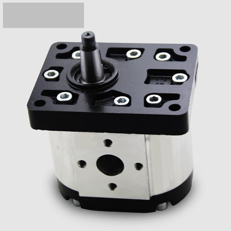 Compact Structure Hydraulic Gear Pump Precise And Detailed Structural Design