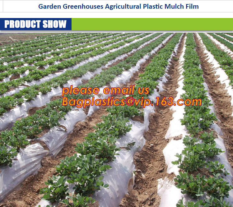 100% new HDPE insect mesh / anti bird net for apple trees,greenhouse anti insect net for plant, agriculture net Anti-ins
