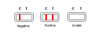ISO13485 Serum HIV 1+2 Rapid Test Immunochromatographic Card Test