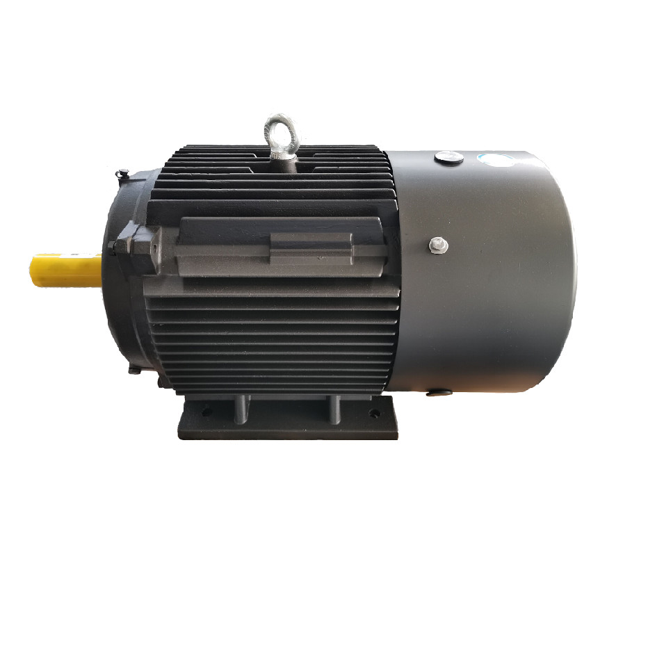 Radial Flux Permanent Magnet Motor