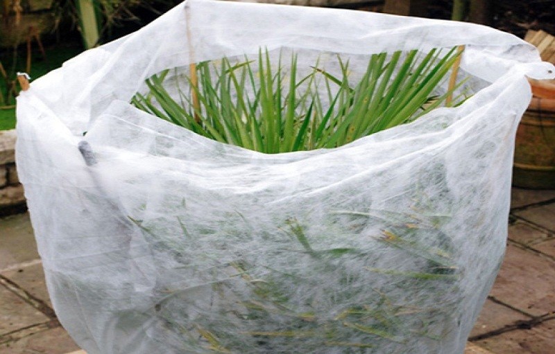 100% PP Spunbond Non Woven Fabric , Non Woven Landscape Fabric For Winter