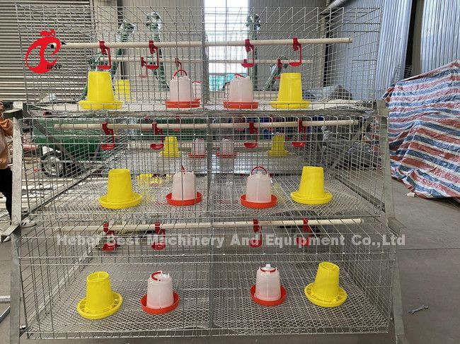 Galvanized A Or H Type Broiler Chicken Cage For One Day Old To Adult Chicken Doris