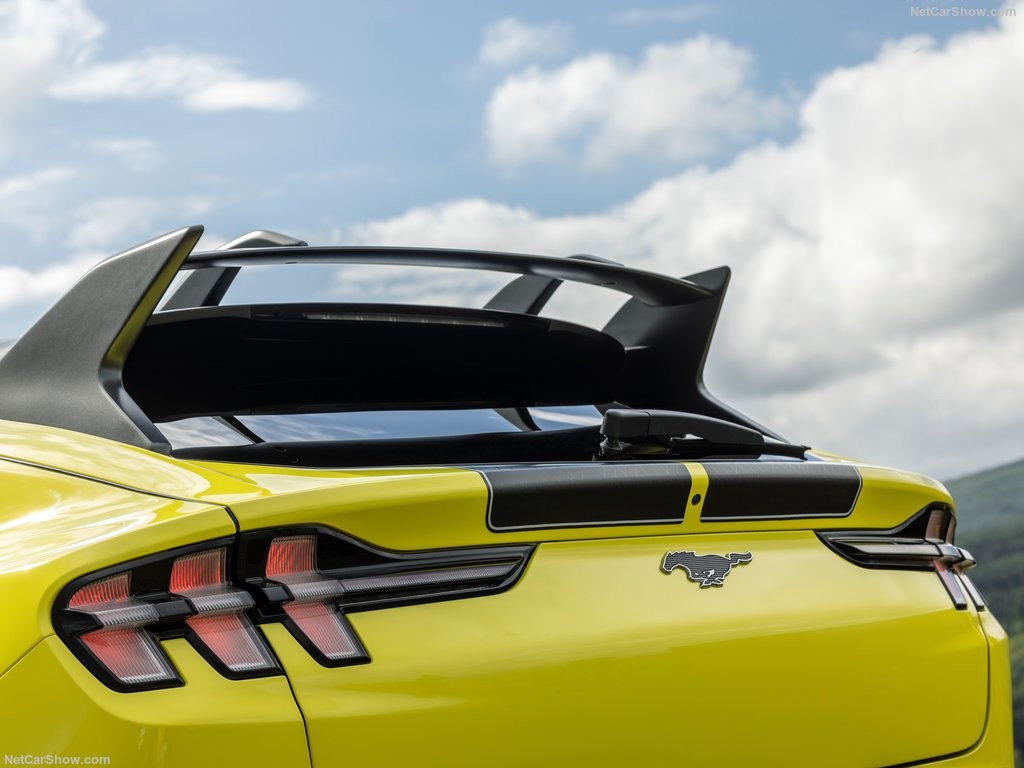 Unique Rally Suspension, Family Car Out Racing Feeling At Ford Mustang Mach-E Rally (2024) 480Horsepower