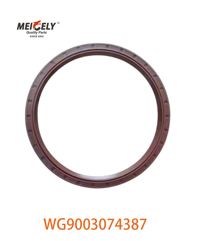 HOWO Truck Spare Parts Oil Seal OEM WG9003074387 WG9112340114