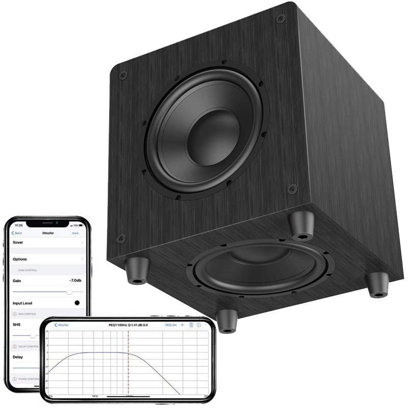 12 Inch 10 Inch Subwoofer Home Theater 500 Watts With Brushed Black Vinyl OEM
