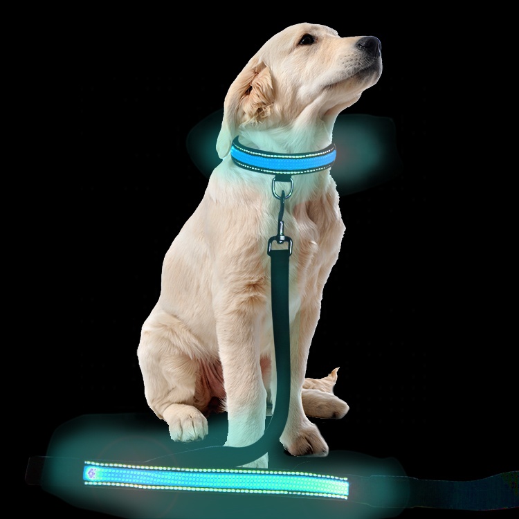 Custom Printed Small Dog Leads Leash Nylon Safety Led Flashing Strong