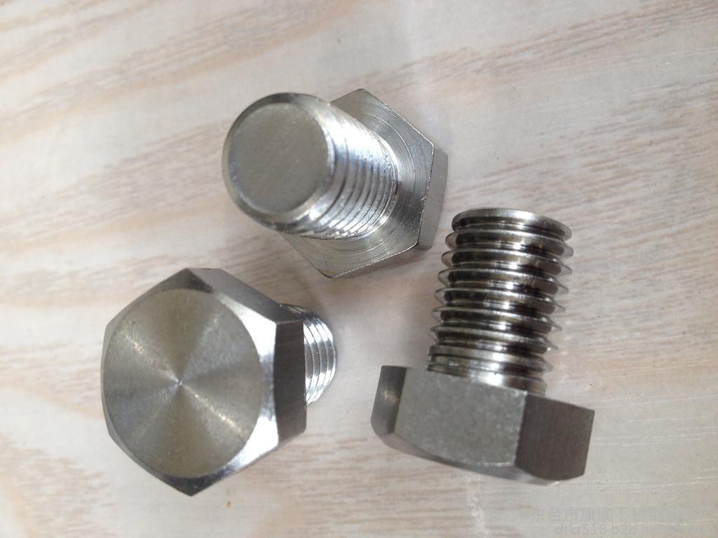 High Precision Stainless Steel 304 Hex Bolts and Nuts for High Temperature Applications