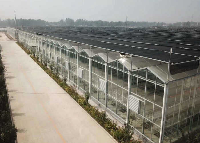 Automatic Control Intelligent Agricultural Glass Greenhouse For Sale Farm Cooling Shading Irrigation System